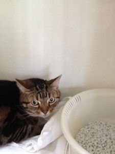 d41d8cd98f00b204e9800998ecf8427e_2 d41d8cd98f00b204e9800998ecf8427e_2.JPG