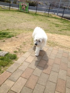 d41d8cd98f00b204e9800998ecf8427e_10 d41d8cd98f00b204e9800998ecf8427e_10.JPG