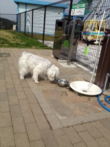 d41d8cd98f00b204e9800998ecf8427e_11 d41d8cd98f00b204e9800998ecf8427e_11.JPG