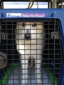 d41d8cd98f00b204e9800998ecf8427e_12 d41d8cd98f00b204e9800998ecf8427e_12.JPG