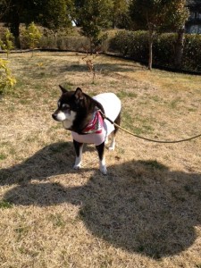 d41d8cd98f00b204e9800998ecf8427e_3 d41d8cd98f00b204e9800998ecf8427e_3.JPG