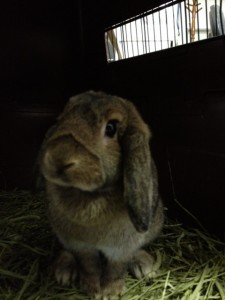 d41d8cd98f00b204e9800998ecf8427e_4 d41d8cd98f00b204e9800998ecf8427e_4.JPG