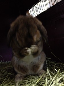 d41d8cd98f00b204e9800998ecf8427e_5 d41d8cd98f00b204e9800998ecf8427e_5.JPG