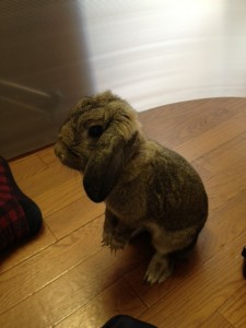 d41d8cd98f00b204e9800998ecf8427e_6 d41d8cd98f00b204e9800998ecf8427e_6.JPG