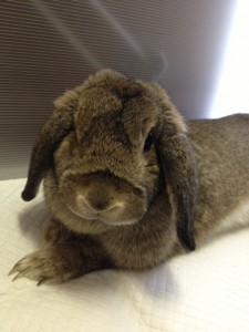 d41d8cd98f00b204e9800998ecf8427e_7 d41d8cd98f00b204e9800998ecf8427e_7.JPG