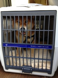 d41d8cd98f00b204e9800998ecf8427e_8 d41d8cd98f00b204e9800998ecf8427e_8.JPG