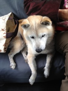 d41d8cd98f00b204e9800998ecf8427e_9 d41d8cd98f00b204e9800998ecf8427e_9.JPG