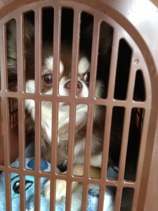 d41d8cd98f00b204e9800998ecf8427e_2 d41d8cd98f00b204e9800998ecf8427e_2.JPG