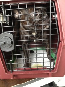 d41d8cd98f00b204e9800998ecf8427e_3 d41d8cd98f00b204e9800998ecf8427e_3.JPG