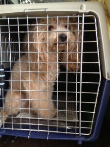 d41d8cd98f00b204e9800998ecf8427e_4 d41d8cd98f00b204e9800998ecf8427e_4.JPG