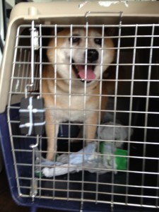 d41d8cd98f00b204e9800998ecf8427e_5 d41d8cd98f00b204e9800998ecf8427e_5.JPG