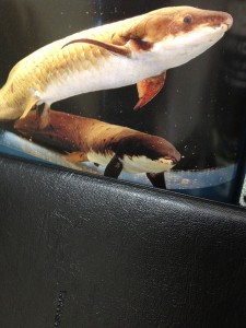 d41d8cd98f00b204e9800998ecf8427e_6 d41d8cd98f00b204e9800998ecf8427e_6.JPG