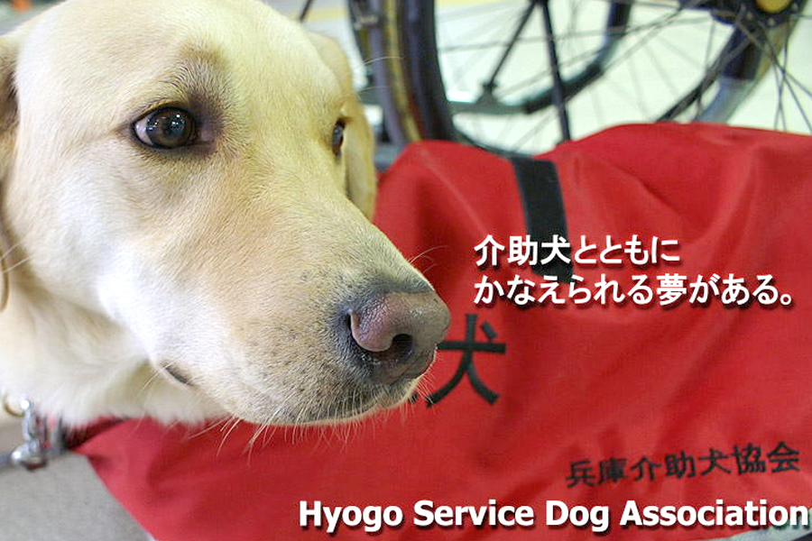特定非営利活動法人兵庫介助犬協会