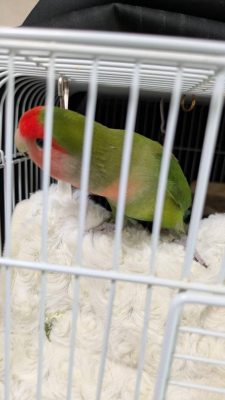 IMG_9281.JPG