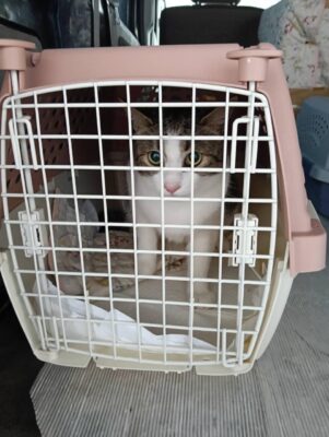 IMG_0704.JPG