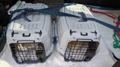 IMG_1625.JPG