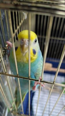 IMG_2116.JPG